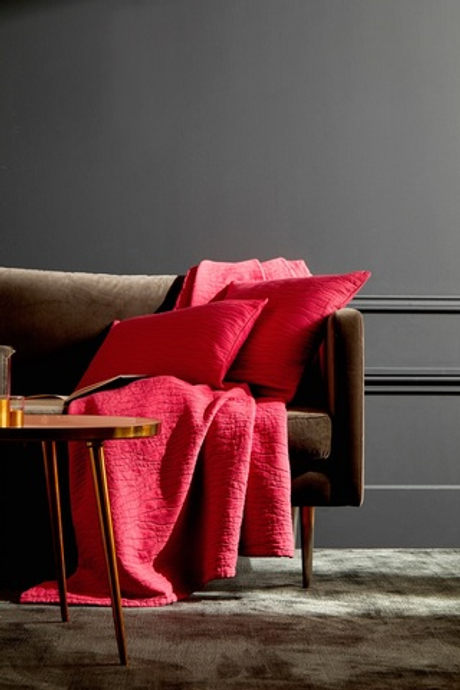 Подушка RACINES BOIS DE ROSE подушка Blanc des Vosges 45x45 Красный
