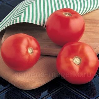 Томат Бобкат F1 50 (семян)