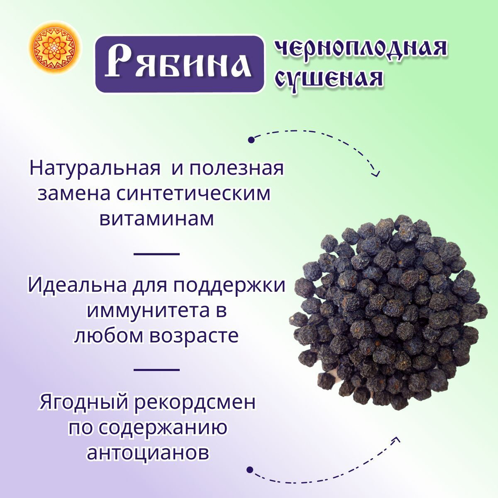 Рябина черноплодная.