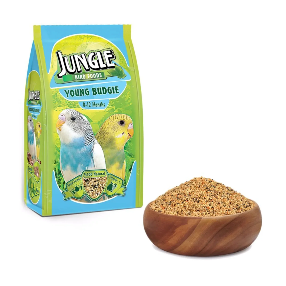 Jungle Young Budgie