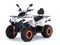 Квадроцикл MOTAX ATV Grizlik 200 Ultra