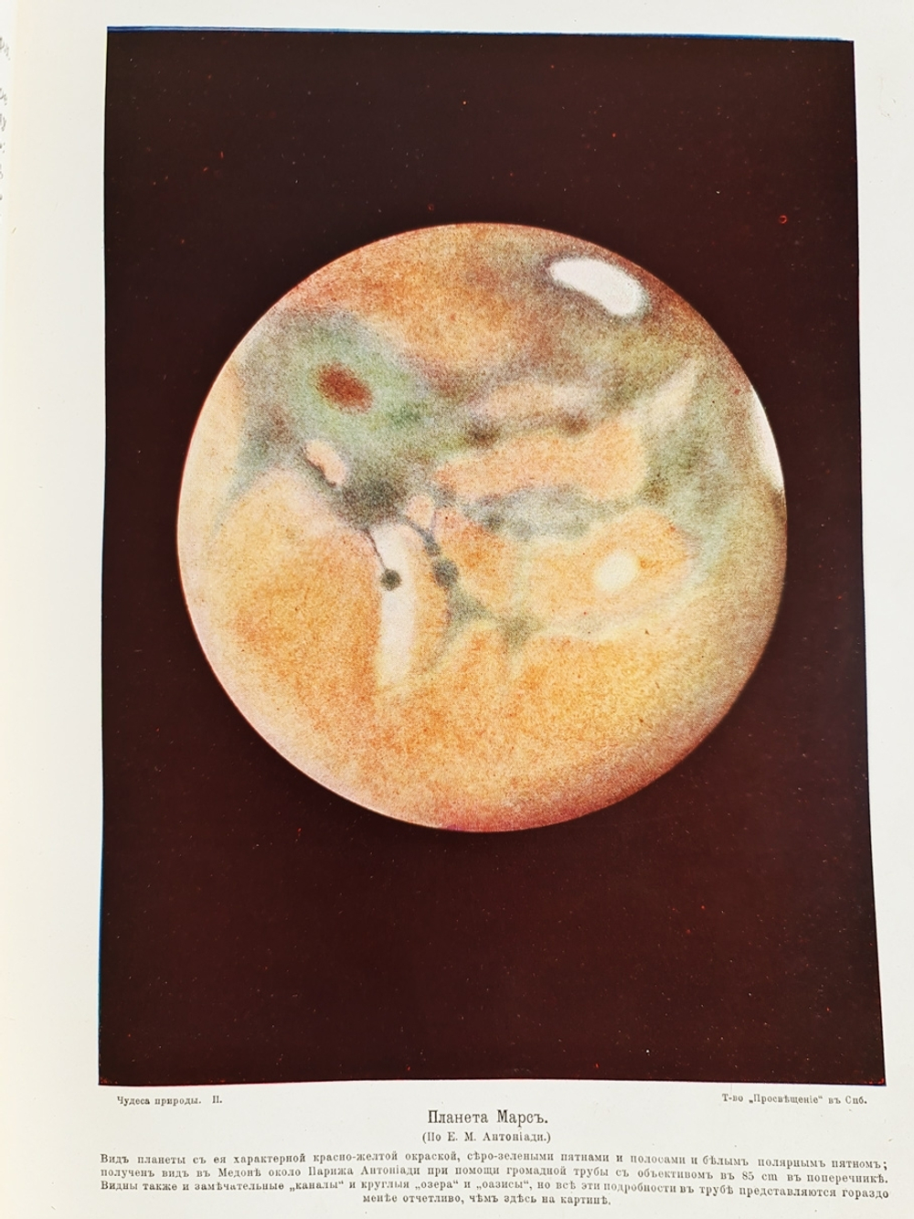 "Чудеса природы. Популярные очерки, посвященный описанию любопытнейших явлений и достопримечательностей трех царств природы. В 2-х томах". В.М.Шимкевич. 1915г. - антикварная книга