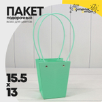 Пакет подарочный 15,5х13х9,5 Ваза для цветов (Тиффани)