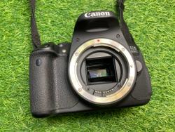 Canon 650D + 18-55mm 3.5-5.6 IS II (16.710 кадров)