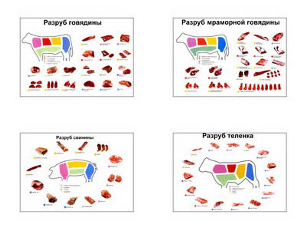 Плакаты ПРОФТЕХ &quot;Разрубка туш&quot; (свинина, говядина, телятина)&quot; (4 пл, винил, 70х100)