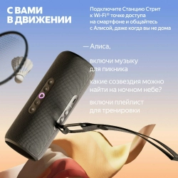 Яндекс Станция Стрит с Алисой