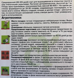 Томат Янтарный Мед 0,05 г СМТ-67