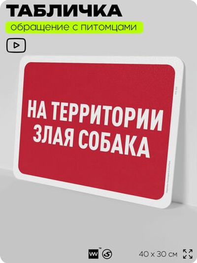 Табличка "На территории злая собака" на дверь и забор, для двора, дома, подъезда, 40х30 см, Silver Plane x Айдентика Технолоджи