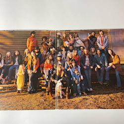Винтажная виниловая пластинка LP The Allman Brothers Band Brothers And Sisters (Japan 1979) (No Obi)