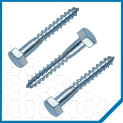 Шурупы Стройметиз сантехнические 10х100, сталь, покрытие - цинк, 15 шт.