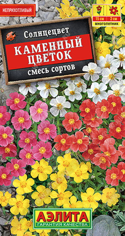 Солнцецвет Каменный цветок, смесь сортов Аэлита