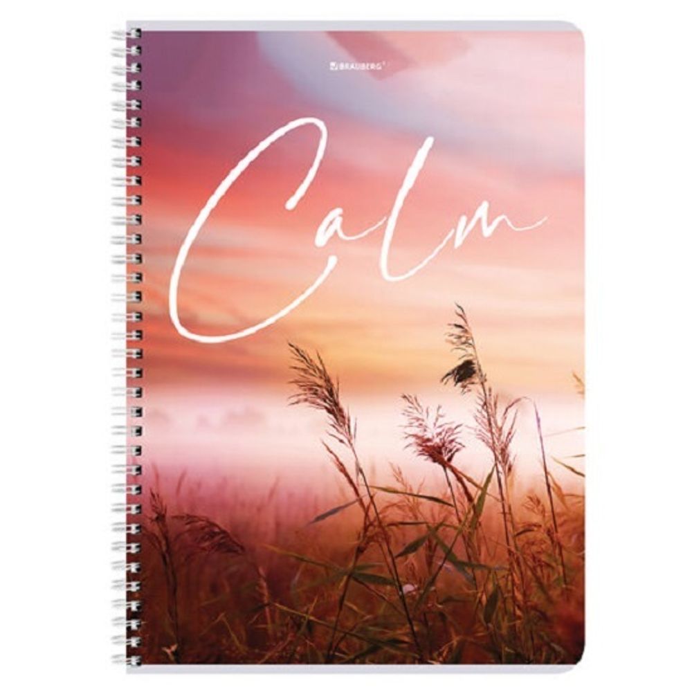 Тетрадь 96л, А4, клетка, на гребне, Brauberg  Calm