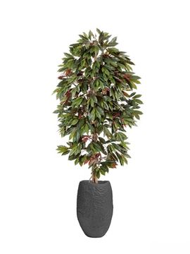 Комплект - Капенсия 150 см в кашпо TREEZ Effectory - Organic