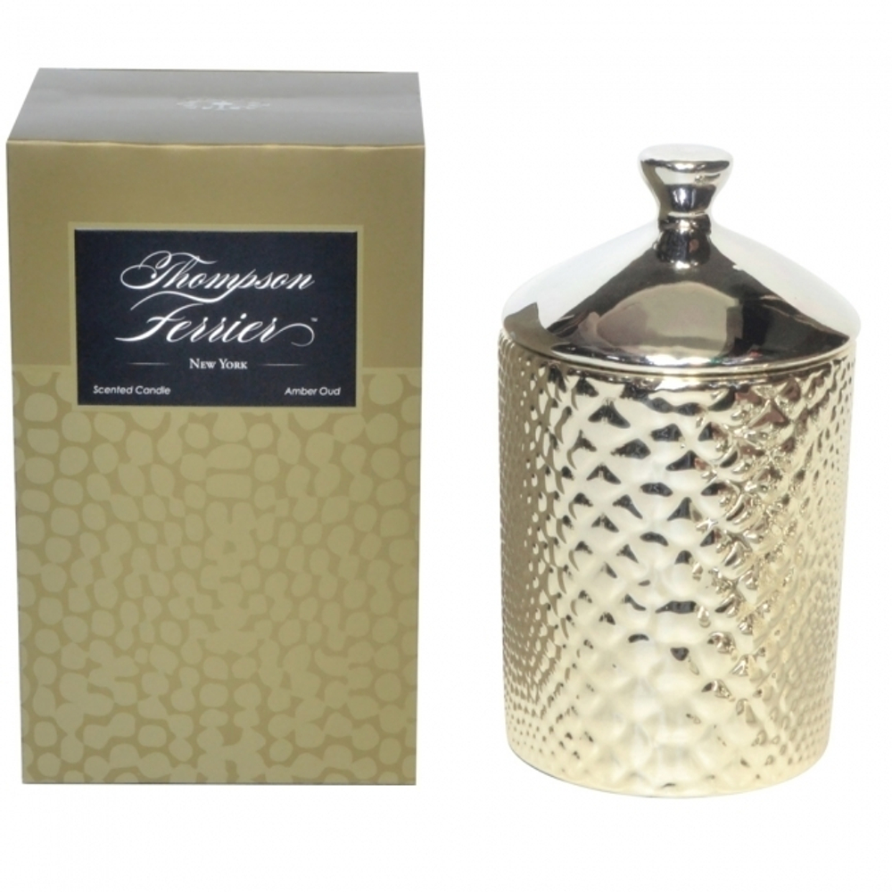 Ароматическая свеча 522г  Thompson Ferrier Животная кожа Кожа Змеи