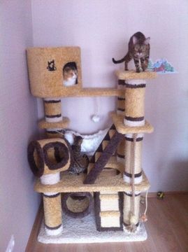 Комплекс для кошек К-316