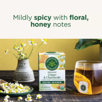 Traditional Medicinals, Органический имбирь, без кофеина, 16 чайных пакетиков, 24 г (0,85 унции)