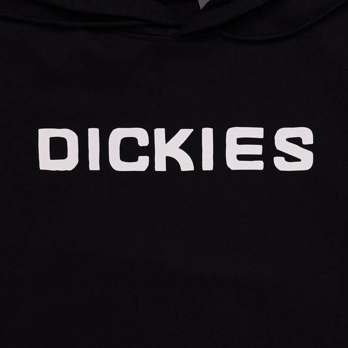 Толстовка мужская Dickies Skateboarding Graphic Hoodie артикул:TWSK3 - купить в магазине Дайс