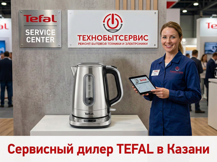Ремонт чайника Tefal в Казани