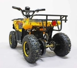 Электроквадроцикл Green Camel Гоби K45 (36V 800W R6 Цепь) быстросъем, ножной тормоз