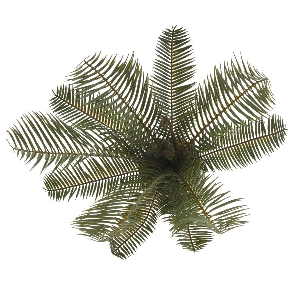 GAEM Цветочная композиция "Пальма", L23 W18 H45 см, 2в.