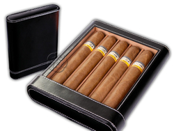 Подарочный набор в кожаном кейсе AFN-H106 Cohiba Siglo VI