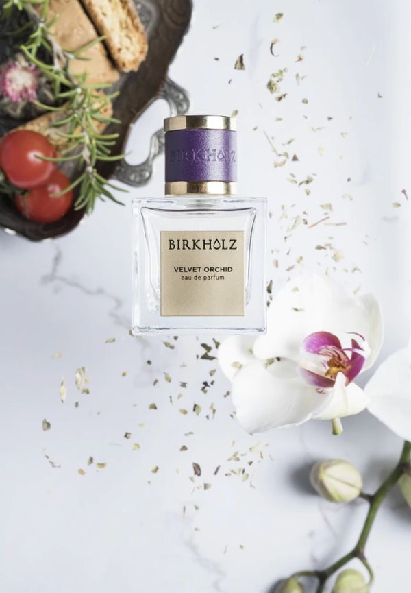 Birkholz Velvet Orchid