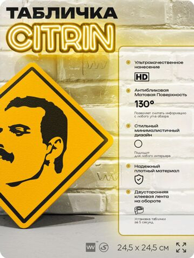 Табличка декоративная "Фредди Меркьюри, Freddie Mercury" на дверь и стену, прикольная штука в подарок, декоративный знак, 24,5х24,5 см, пластиковая, Айдентика Технолоджи