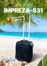 Ручная кладь для АК "ПОБЕДА", Impreza 831, темно-синий