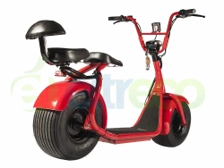 Электросамокат NS-TREK 1000W CITYCOCO