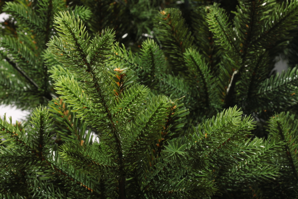 Ель искусственная Царь елка Идеал 180 см ИД-180