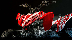 Квадроцикл MOTOLAND 250S