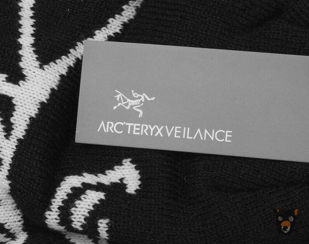 Шапка Arcteryx