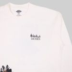  Лонгслив мужской Dickies Kenbridge Tee артикул:DK0A4YVRC581 - купить в магазине Дайс