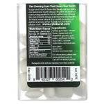 Xyloburst, ксилитоловая камедь, мятная жевательная камедь, 25 шт., 37,5 г (1,33 унции)