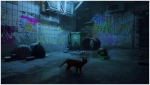 Игра Stray (PS5, русские субтитры)