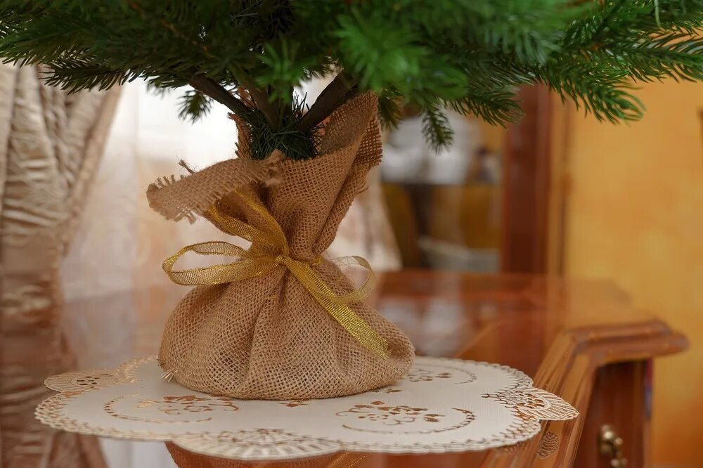 Ель Царь Елка Астерия Премиум 60см 3D