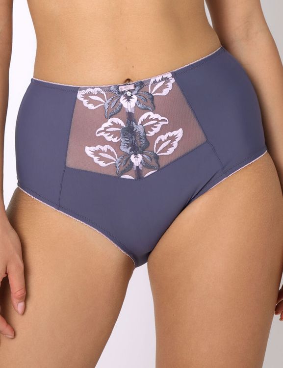 Трусы Subtille Petra Violet слипы высокие (фиолетовый)