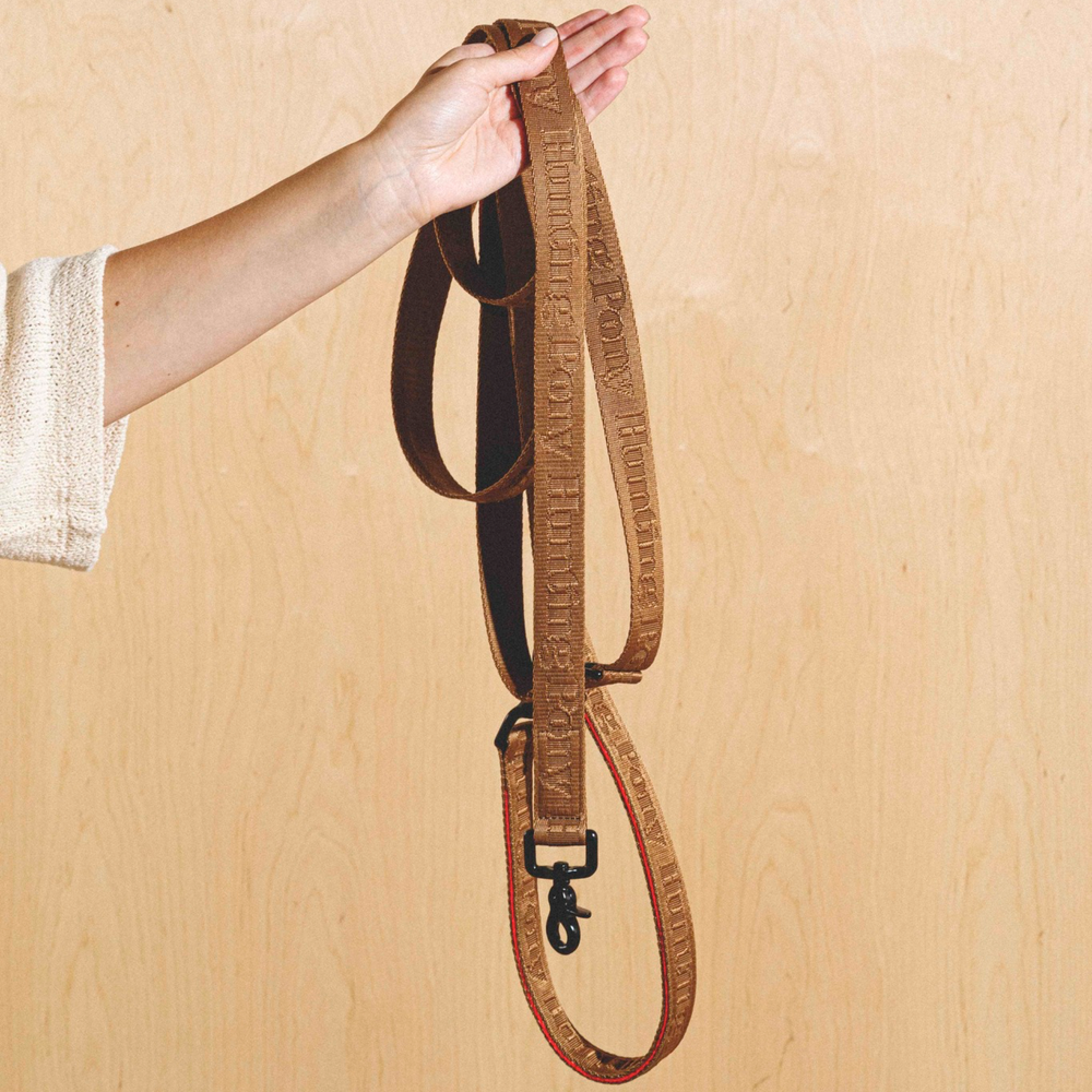 Поводок «Пони-Компаньони» 5 метров HuntingPony