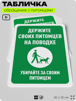 Табличка "Держите своих питомцев на поводке" на дверь и забор, для двора, дома, подъезда, 40х30 см, Silver Plane x Айдентика Технолоджи