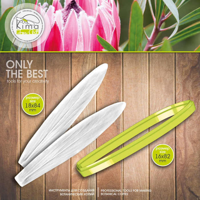 Протея лепесток вытянутый