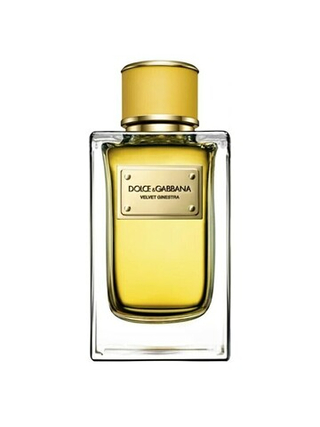 Dolce & gabbana velvet ginestra