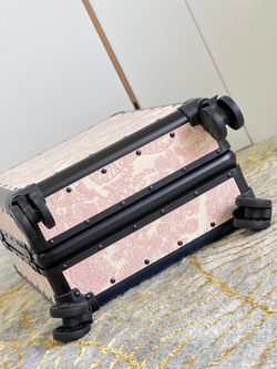 Christian Dior Travel Suitcase