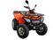 Квадроцикл MOTOLAND ATV 200 MAX
