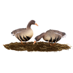 Белолобый гусь Softplast мод. B10S