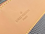 Louis Vuitton Backpack Titanium
