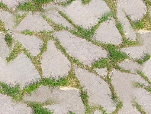 Текстура бесшовная бесплатно 40мм Песчаник галтованный Ручейник Серый шов трава