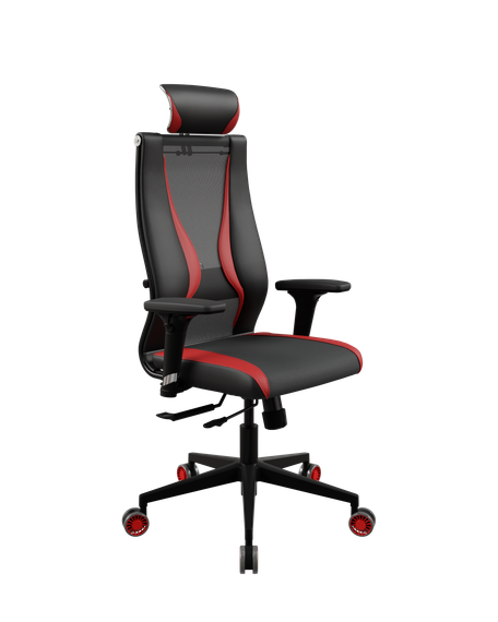 SynchroSit 10 B2-170D - T+UMF(SY271)+Extra /Kb38/Wh09/D02P/H13mL-Pf-1DF(M18.B11.G19.W32)