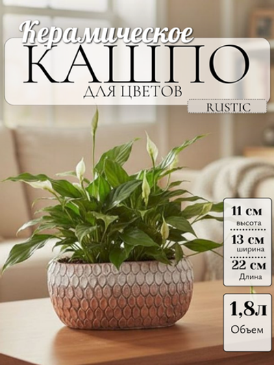 05.200.21 Кашпо овал. Rustic 22*13; h11 см бело/персиковый