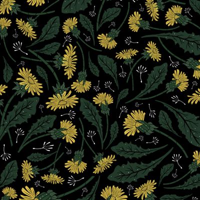 Одуванчики