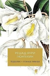 Королек птичка певчая